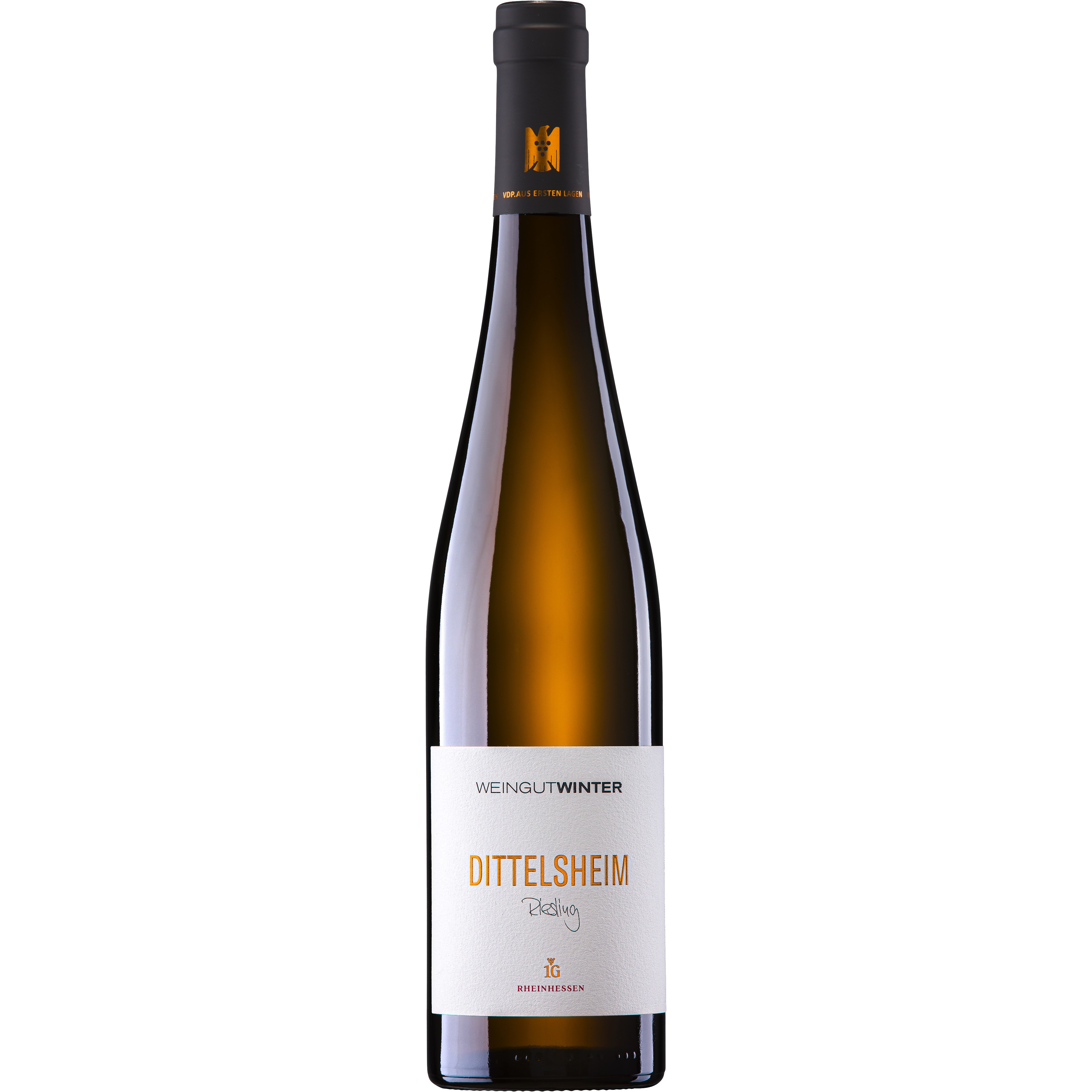 STEFAN WINTER DITTELSH EL 75X6